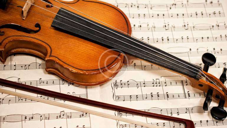 Violon